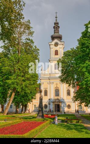 Cathédrale de Bjelovar de Teresa d'Avila vue depuis le parc central Banque D'Images