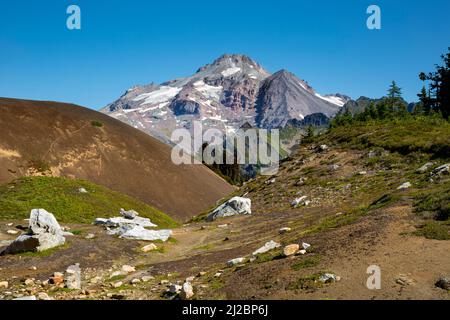 WA21235-00...WASHINGTON - Glacier Peak et le White Chuck Cinder Cone situés le long du Pacific Crest Trail au nord de Red Pass dans le Glacier Peak Wil Banque D'Images