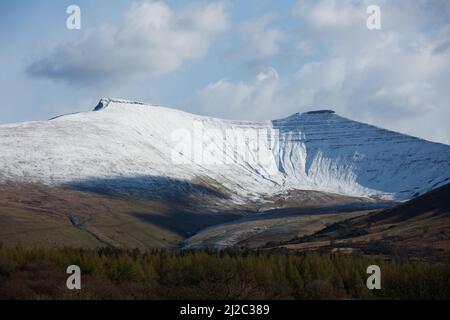 Libanus, Brecon Beacons, pays de Galles du Sud, Royaume-Uni. 31 mars 2022. Météo au Royaume-Uni : neige sur les balises de Brecon cet après-midi. Crédit : Andrew Bartlett/Alamy Live News Banque D'Images