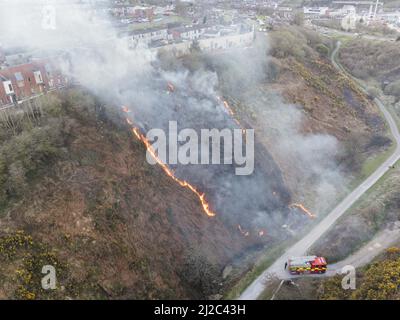 Cork, Irlande, 31st mars 2022. Cork City Fire Brigade traite d'un grand feu de Gorse près des maisons dans le Glen Park, Cork, Irlande. Photo aérienne des membres de la brigade des pompiers de Cork qui s'occupent d'un autre grand feu de gorge brûlant à proximité des maisons du parc Glen River qui s'étend entre le Glen et Ballyvolane. Peu après 6 heures ce soir, la brigade des pompiers de Cork a assisté à la scène d'un grand feu de gorge brûlant près des maisons de Glen River Park, la fumée de ce feu a explosé directement dans les maisons de la région de Glen au-dessus de Glen Park. Un certain nombre de pompiers ont pu assister à cette réunion Banque D'Images