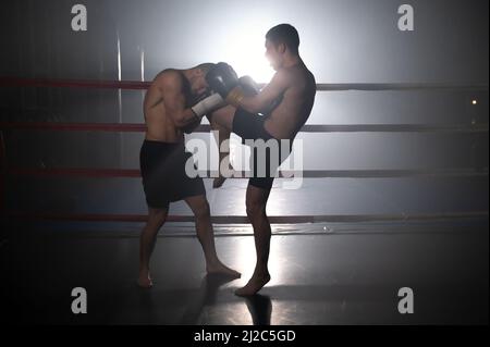 Deux athlètes musclés d'arts martiaux mixtes qui se battent sur le ring. Photographie de haute qualité. Banque D'Images