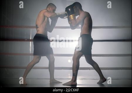 Deux athlètes musclés d'arts martiaux mixtes qui se battent sur le ring. Photographie de haute qualité. Banque D'Images