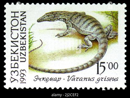 MOSCOU, RUSSIE - 13 MARS 2022: Timbre-poste imprimé en Ouzbékistan montre Desert Monitor (Varanus griseus), faune de la série ouzbèke, vers 1993 Banque D'Images