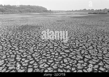 Sécheresse : plaine fissurée près de Leersum ca. 16 juillet 1976 Banque D'Images