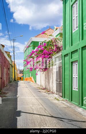 Journée ensoleillée à Willemstad, Curaçao - promenade dans les ruelles avec des maisons colorées peintes et bougainvilliers fleuris Banque D'Images