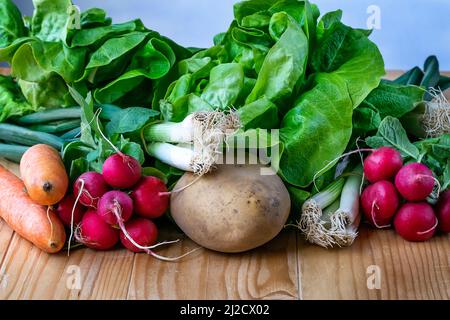 Concept alimentaire végétarien. Composition de légumes frais. Divers légumes sur une table en bois. Légumes frais disposés à bord. Nourriture végétalienne saine Banque D'Images