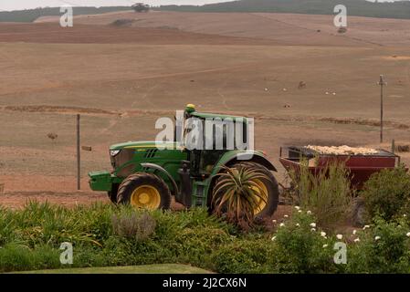 Caledon, Cap occidental, Afrique du Sud. 2022. Tracteur vert et remorque rempli de chaux à répartir sur les zones d'une ferme dans la région d'Overberg. Banque D'Images