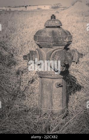 Un cliché vertical d'une borne d'incendie rouillée de métal dans un champ Banque D'Images