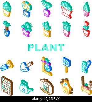 Ensemble d'icônes d'accessoires d'entretien et de plantes en pot Vector Illustration de Vecteur