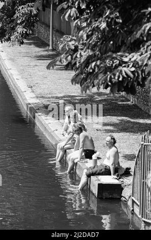 Pics d'été, Forbury Gardens, parc public, Reading, Berkshire, Juin 1985 Banque D'Images