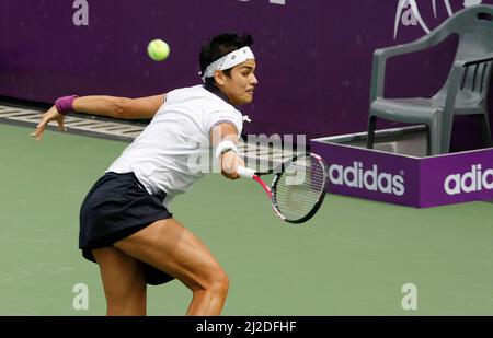 20 sept 2011-Séoul, Corée du Sud-Eleni Daniilidou de Grèce, retourne à SO-Jung Kim de Corée (pas d'image), lors d'une seule journée de jeu, le premier dans le Hansol Korea Open tennis au terrain de tennis du parc olympique dans l'est de Séoul, le 20 septembre 2011, Corée du Sud. Eleni Daniilidou a gagné en 4-6, 6-2, 7-5. Banque D'Images