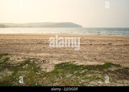 Sur les plages de Ratnagiri au Maharashtra. Cette année, moins d'oiseaux migrateurs ont été trouvés. La perte de bio-diversité est très visible. Banque D'Images