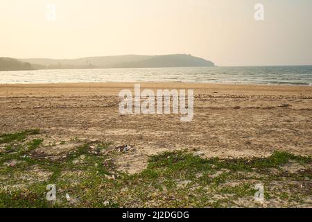 Sur les plages de Ratnagiri au Maharashtra. Cette année, moins d'oiseaux migrateurs ont été trouvés. La perte de bio-diversité est très visible. Banque D'Images