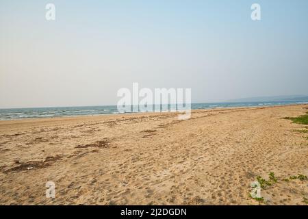 Sur les plages de Ratnagiri au Maharashtra. Cette année, moins d'oiseaux migrateurs ont été trouvés. La perte de bio-diversité est très visible. Banque D'Images