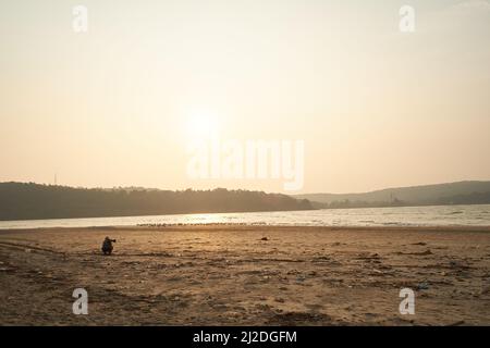 Sur les plages de Ratnagiri au Maharashtra. Cette année, moins d'oiseaux migrateurs ont été trouvés. La perte de bio-diversité est très visible. Banque D'Images