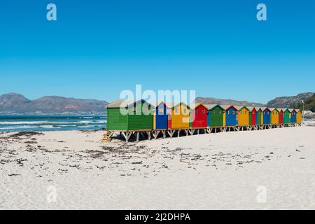 Cabines en bois colorées de la plage de Muizenberg près du Cap, province du Cap occidental, Afrique du Sud. Banque D'Images