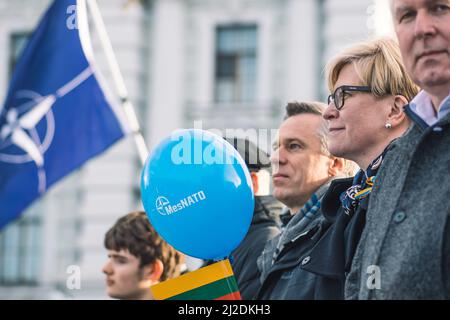 Ingrida Šimonytė, politicien lituanien, économiste et Premier ministre de Lituanie lors d'une cérémonie à Vilnius avec le drapeau lituanien et l'OTAN Banque D'Images