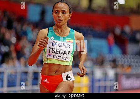 Gudaf Tsegay (ETH) remporte les 1 500m femmes en 3:57,19during les Championnats du monde d'athlétisme en salle, samedi 19 mars 2022, à Belgrade, Serbie. (J Banque D'Images