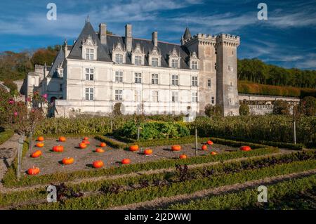 Château et jardins de Villandry, Villandry, Parc naturel régional Loire-Anjou-Touraine, Vallée de la Loire classée au patrimoine mondial de l'UNESCO, Indre et Loire Banque D'Images