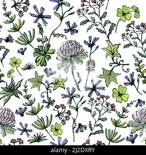 Motif fleurs sauvages sans couture. Travail à la main. Illustration vectorielle Illustration de Vecteur