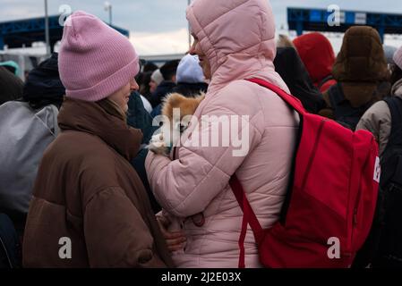 Les réfugiés ukrainiens arrivent au poste frontalier d'Isaccea (Roumanie) le 26 février 2022. Banque D'Images