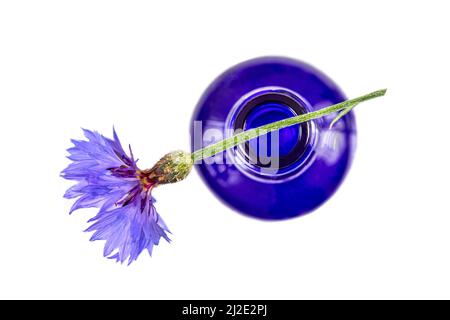 Myrtille et huile Banque D'Images