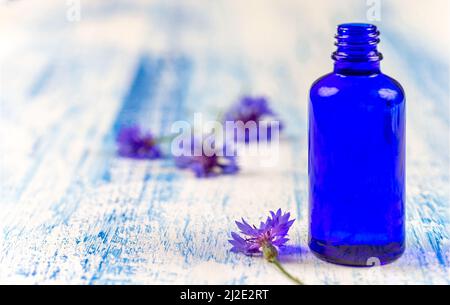 Myrtille et huile Banque D'Images