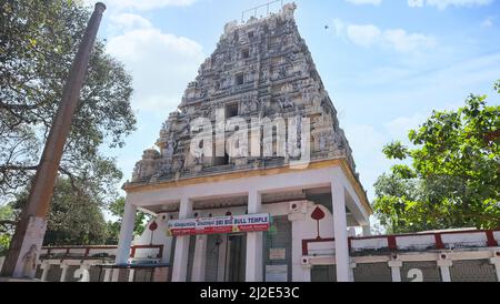 Vue de face du temple de Big Bull, le temple a été construit en 1537 par Kempe Gowda sous l'empire de Vijayanagar, Bangalore, Karnataka, Inde Banque D'Images