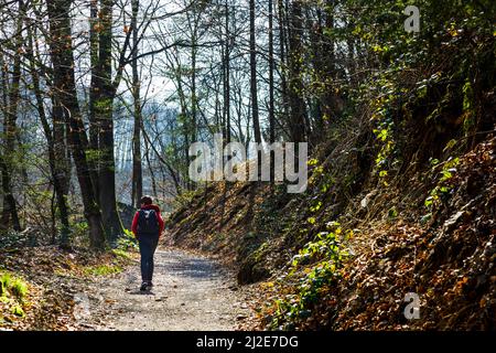 Sentier de randonnée dans le Land de Bergisches près du pont ferroviaire de Mungsten Banque D'Images