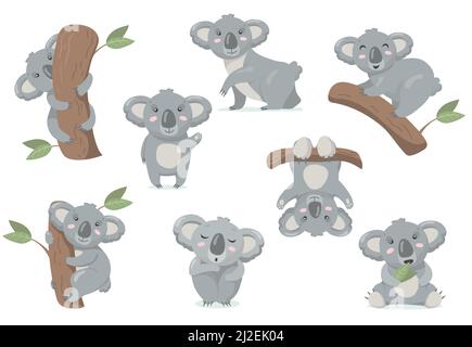 Adorable ensemble plat koala pour bébé pour le motif toile. Dessin animé mignon ours australien debout, arbre d'escalade et manger des feuilles d'eucalyptus vecteur isolé illustrat Illustration de Vecteur