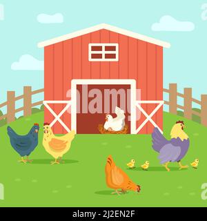 De jolies poules avec des poules marchant dans la cour de la ferme. Illustration de l'herbe, de la plume, du vecteur plat de l'œuf. Animaux de ferme et concept d'oiseaux pour la bannière, la conception de site Web Illustration de Vecteur