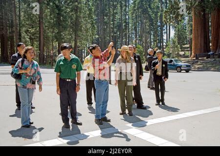 Giant Village, Etats-Unis - 21 juillet 2008: ranger guide un groupe de touristes à l'intérieur du parc national des séquoias et donne des explications. Banque D'Images