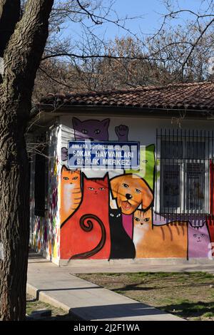 Murale avec des chats et des chiens sur le mur d'une clinique vétérinaire pour les animaux de la rue dans le parc Kurtulus, dans le centre d'Ankara Banque D'Images