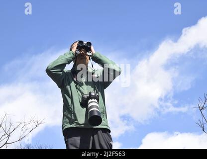 (220401) -- CHENGDU, le 1 avril 2022 (Xinhua) -- il observe les oiseaux avec un télescope dans la réserve naturelle nationale de Wolong, dans la province du Sichuan, au sud-ouest de la Chine, le 23 mars 2022. He Xiaoan, 55 ans, un membre du personnel de la Réserve naturelle nationale de Wolong, est également un observateur d'oiseaux qui observe les espèces, les habitudes et les traces d'oiseaux ici. Bon nombre des photos qu'il a prises sur les 293 espèces d'oiseaux de Wolong sont devenues une référence précieuse pour l'étude de la diversité des oiseaux. Il espère inspirer les gens avec des vidéos et des photos qu'il a prises pour participer au travail de protection de l'environnement écologique et de la biodiversité de la nature reser Banque D'Images