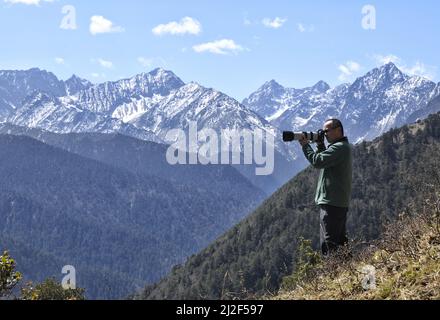 (220401) -- CHENGDU, le 1 avril 2022 (Xinhua) -- il Xiaoan prend des photos d'oiseaux dans la réserve naturelle nationale de Wolong, dans la province du Sichuan, au sud-ouest de la Chine, le 23 mars 2022. He Xiaoan, 55 ans, un membre du personnel de la Réserve naturelle nationale de Wolong, est également un observateur d'oiseaux qui observe les espèces, les habitudes et les traces d'oiseaux ici. Bon nombre des photos qu'il a prises sur les 293 espèces d'oiseaux de Wolong sont devenues une référence précieuse pour l'étude de la diversité des oiseaux. Il espère inspirer les gens avec des vidéos et des photos qu'il a prises pour participer aux travaux de protection de l'environnement écologique et de la biodiversité des réserves naturelles. (Xi Banque D'Images