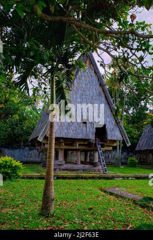 Rumah Tambi est une maison traditionnelle de Tampo Lore, Poso Regency, province centrale de Sulawesi, Indonésie. Cette maison traditionnelle en pilotis sous la forme d'un Banque D'Images