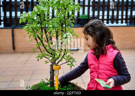 fille plantant des graines dans un pot au début du printemps Banque D'Images