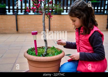 fille plantant des graines dans un pot au début du printemps Banque D'Images