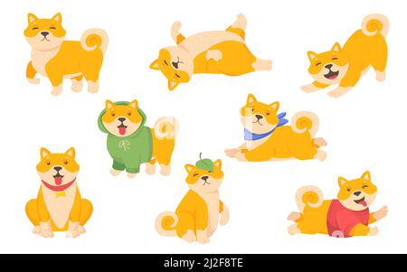 Ensemble pour chiots drôle akita. Joyeux chien japonais mignon dans différents vêtements assis, debout, jouant isolé sur blanc, illustration vectorielle pour domestique ani Illustration de Vecteur