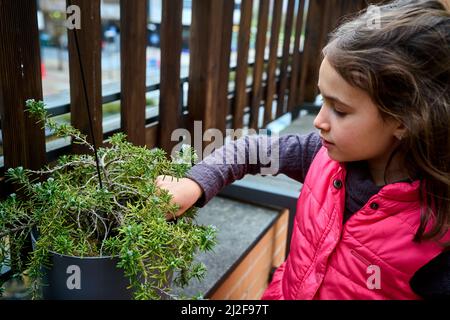 fille plantant des graines dans un pot au début du printemps Banque D'Images