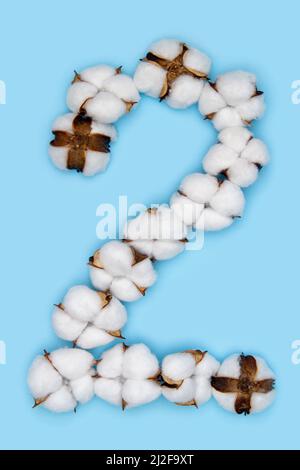 Numéro 2 fait de fleurs de coton et isolé sur fond bleu Uni. Concept floral numérique. Un numéro de l'ensemble de police de coton facile à empiler. Banque D'Images