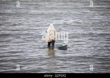 Une femme s'épare de crabes et d'huîtres sur les rives de l'île de Karampuang, en Indonésie, en Asie. Banque D'Images