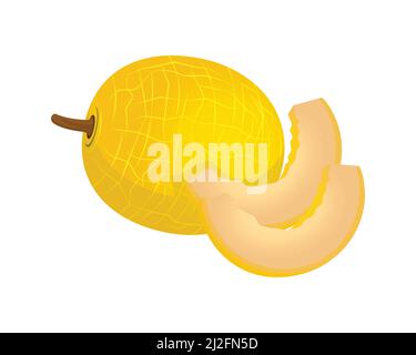 Melon détaillé avec les coupes Illustration Vector Illustration de Vecteur
