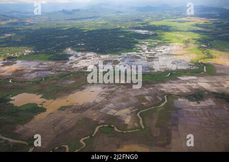 Vue aérienne des rizières inondées et colorées le long d'une rivière sur l'île de Sulawesi, Indonésie, Asie. Banque D'Images