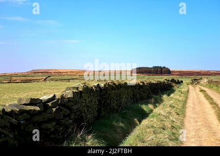 La Plantation et la Great Manshead Hill. Banque D'Images