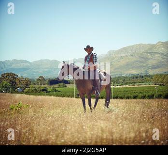 Yeeha. Portrait complet d'un homme mature sur un cheval dans un champ. Banque D'Images
