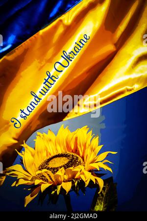 Je me tiens avec l'Ukraine avec la fleur et le drapeau copie Banque D'Images