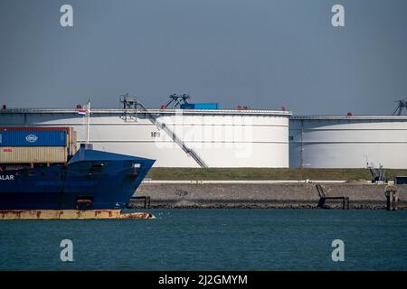 Les réservoirs de stockage de pétrole brut de la raffinerie BP, avec la centrale électrique à gaz d'Enecogen derrière, au port maritime de Rotterdam, Maasvlakte, Rotterdam pays-Bas, Banque D'Images