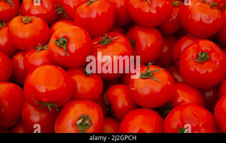 Arrière-plan des tomates. Gros plan et vue de face. Les tomates sont en vente sur le marché local. Banque D'Images