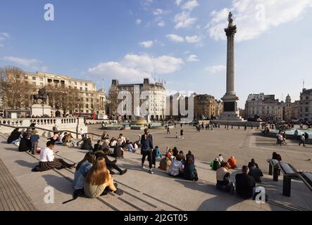 Scène de Nelsons Column Trafalgar Square à Londres - personnes profitant du soleil de printemps assis à l'extérieur du centre de Londres WC2, Londres UK Banque D'Images